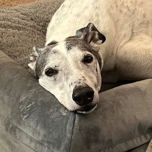 Meet your Posher, Cathy